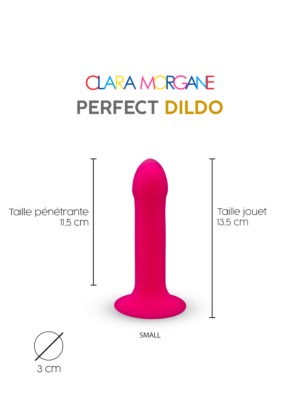 Clara Morgane Perfect Silicon Dildo Pink 