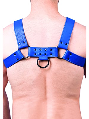 Snap Real Leather Harness Blue - Taille