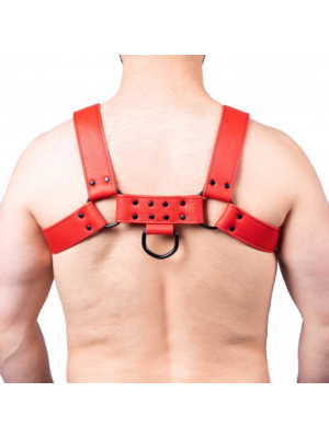 Snap Leather Harness Red - Taille