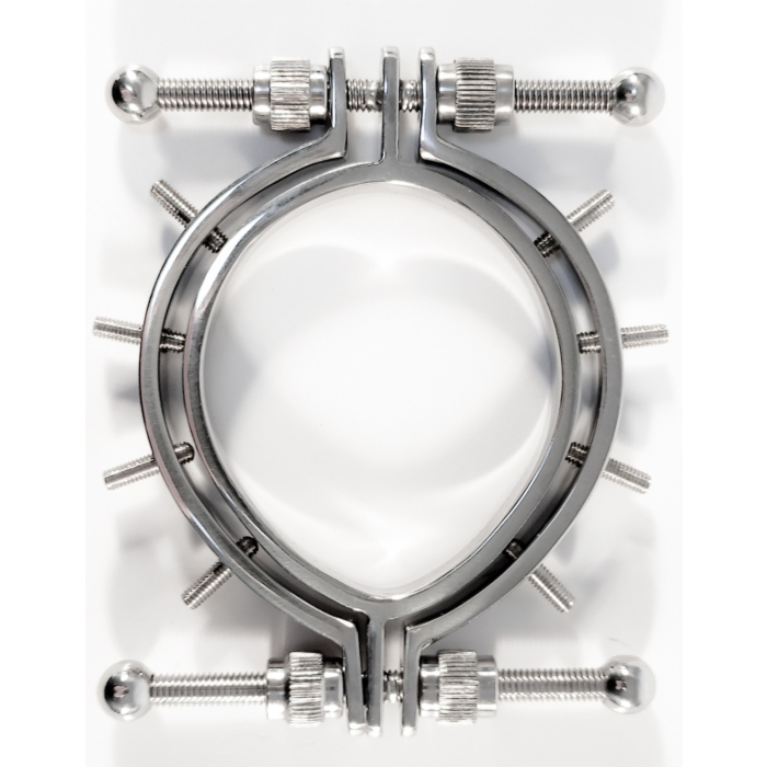 Stainless Steel Pussy Clamps With Spikes