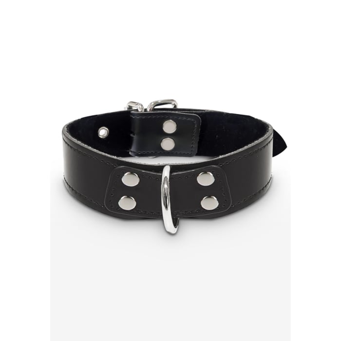 Elegant D-Ring Collar