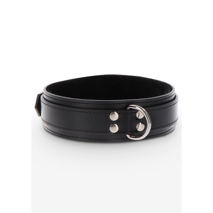Heavy D-Ring Collar