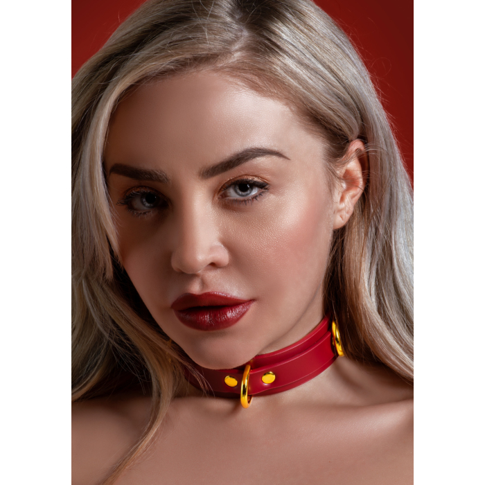  D-Ring Collar Deluxe