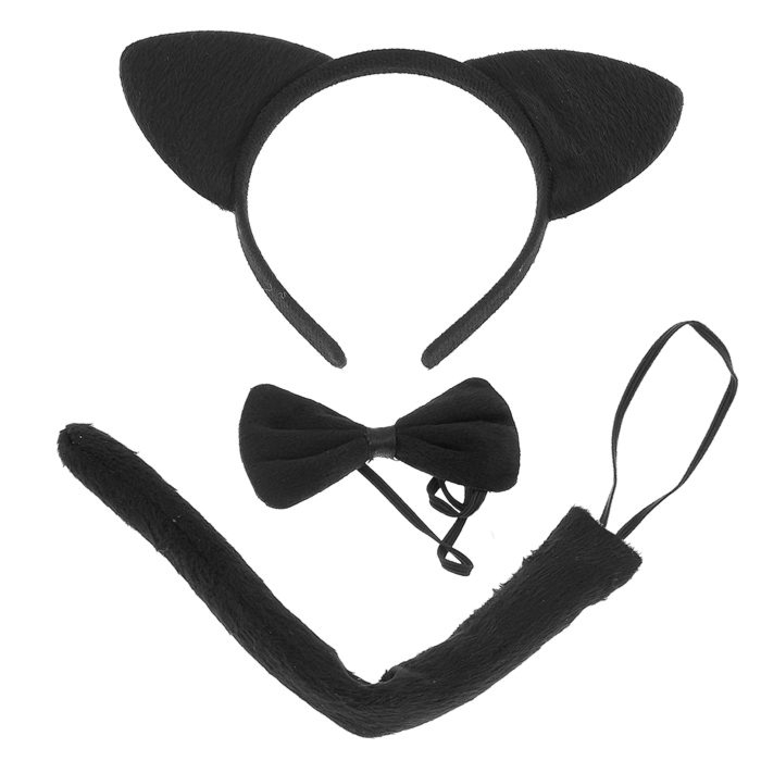Kitty accessory set