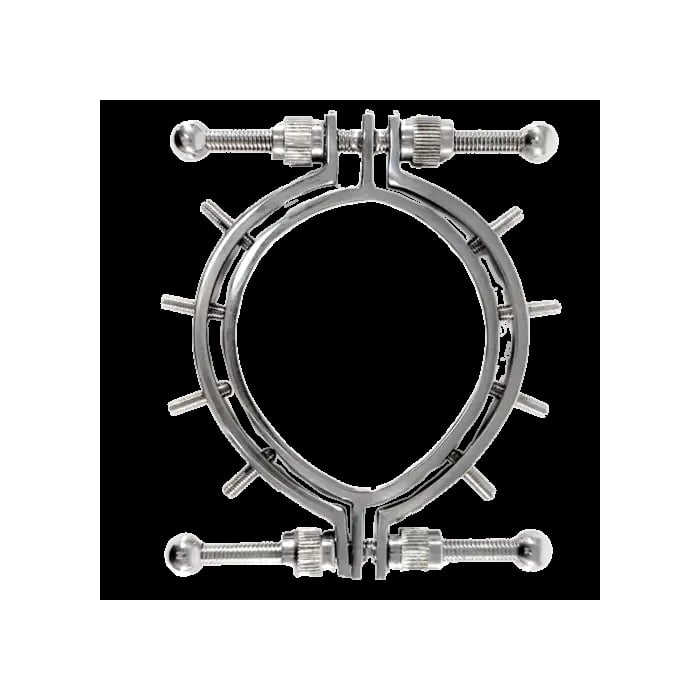 Stainless Steel Pussy Clamps With Spikes