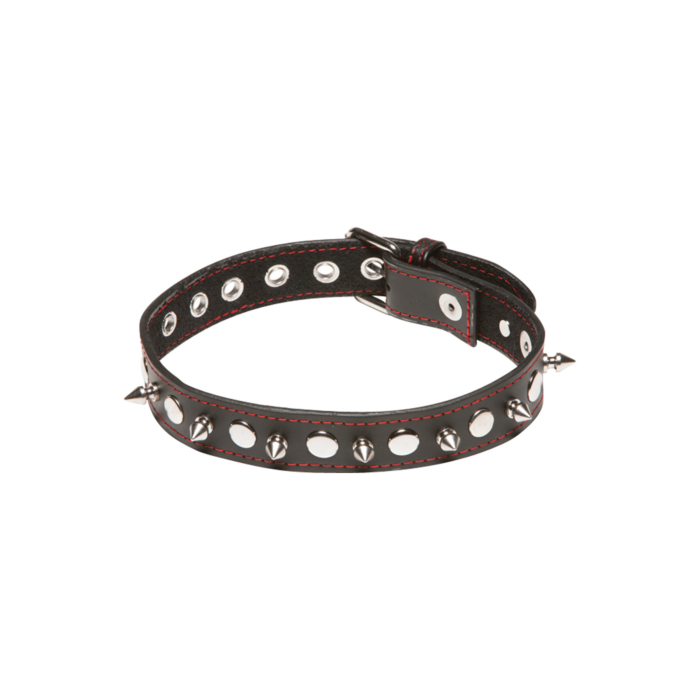 Spiked Collar