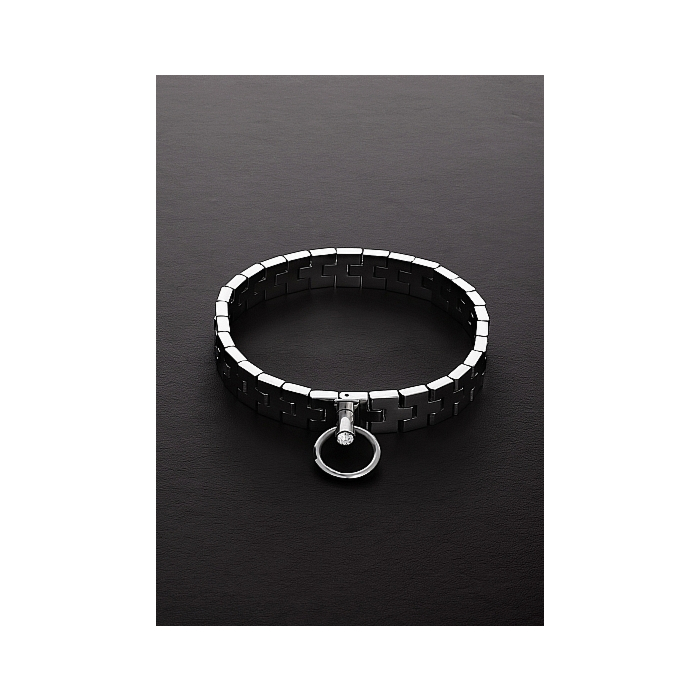 Watchband Collar with Lock - 17" / 43 cm