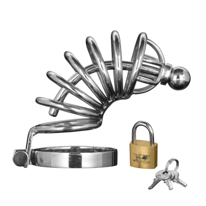 Asylum - 6 Ring Chasity Cage