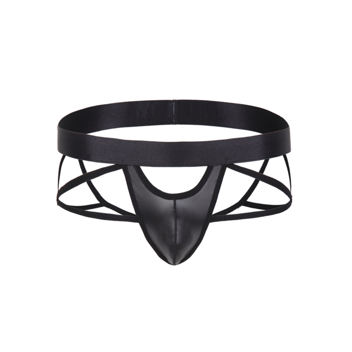 Black Men's Mesh Faux Panties Underwear