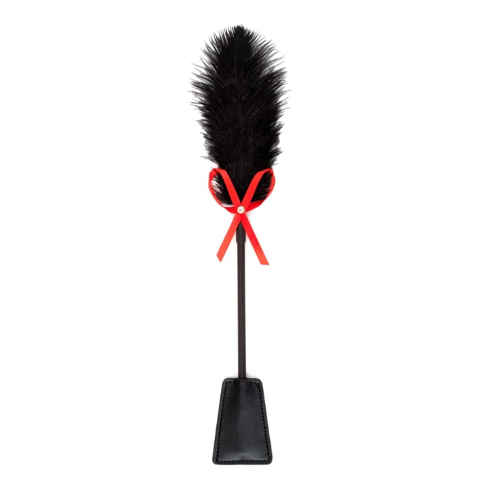 Fetish B-Series Tickler & Whip 2.0