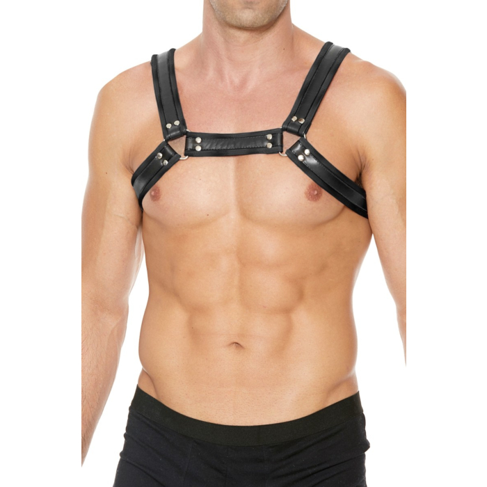 Buckle Bulldog Harness - Black