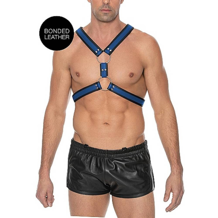 Scottish Harness - Blue